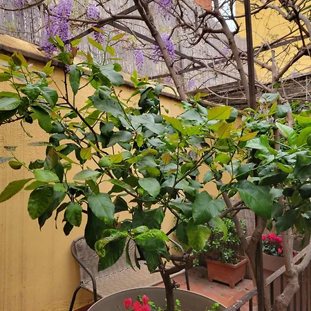 Le Patio St Jacques Apartment Perpignan